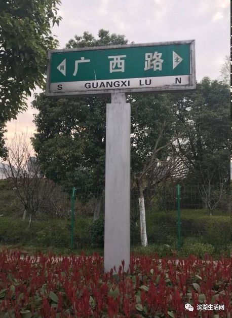 濱湖下月煥新顏 1305塊夜間反光路牌點亮街頭